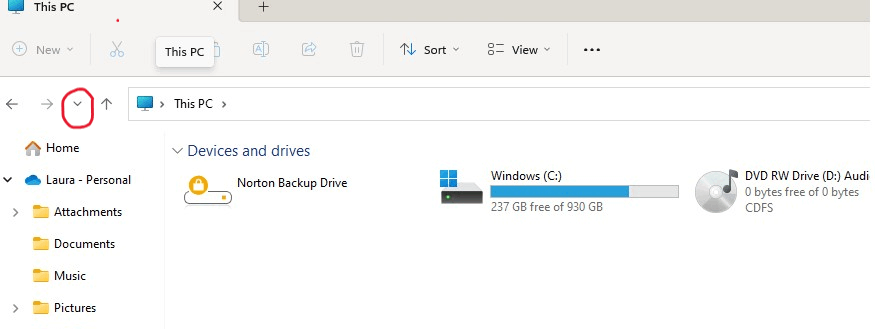 How do I get back the drop-down arrows in my windows file explorer to ...