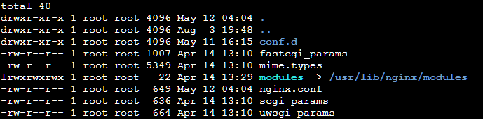 NginxCap1