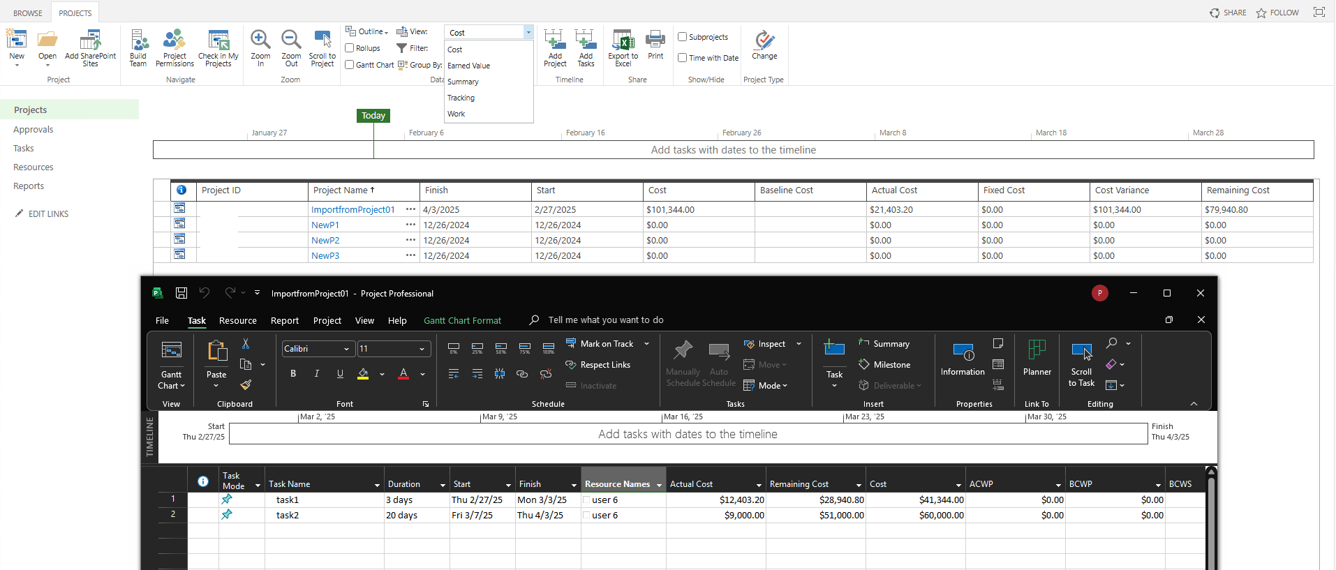 Display project Costs in the project ONLINE - Microsoft Q&A
