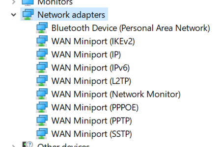 Screenshot network adapter in device manager