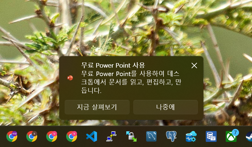 스크린샷 2024-11-13 211819