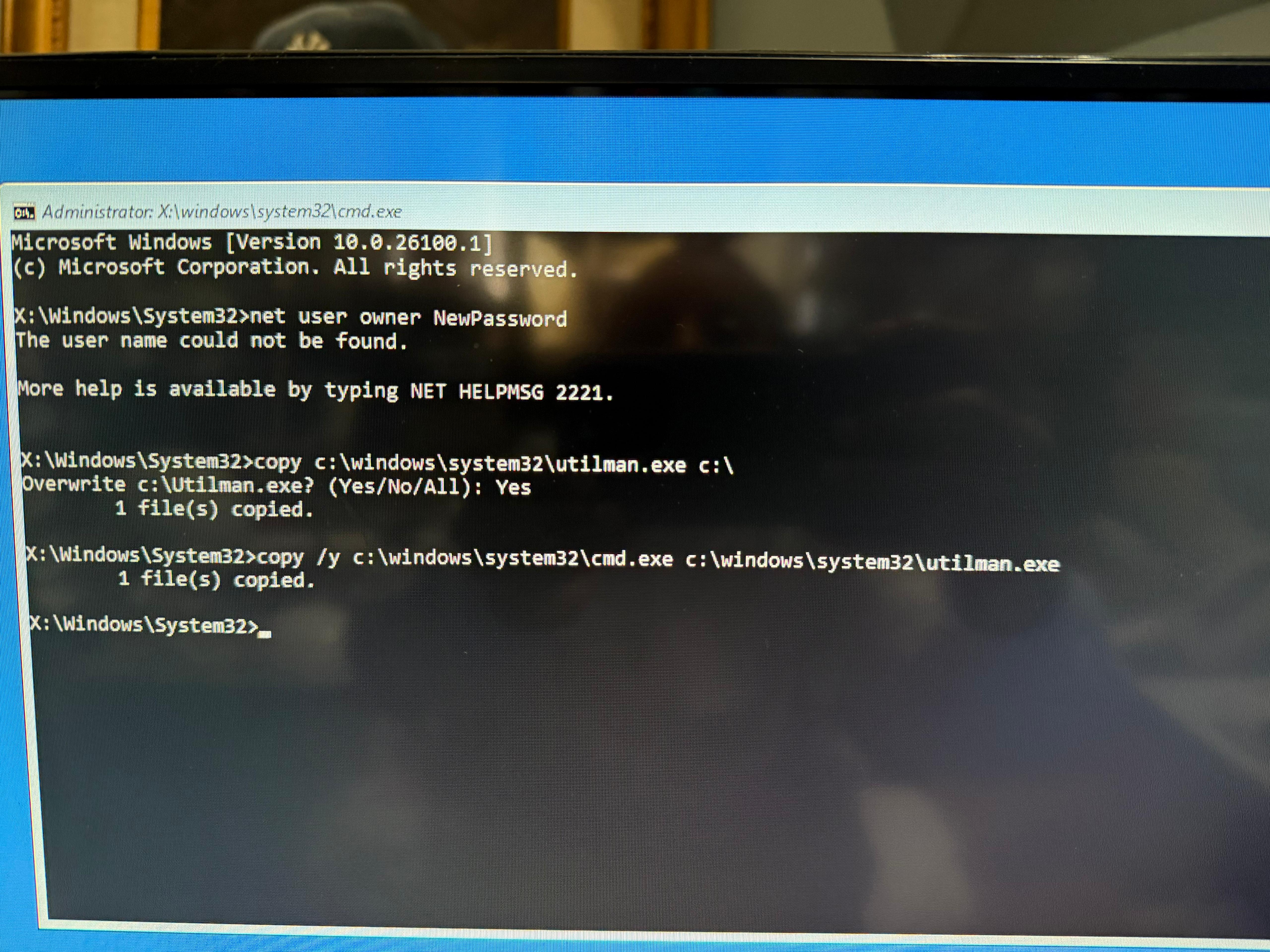 WhatsApp Image 2026-02-12 at 17.16.19