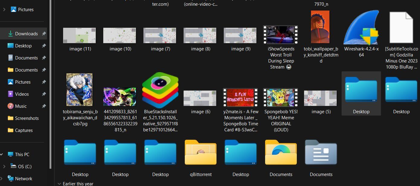 Multiple Desktop folder duplicate in download folder causing storage to ...