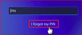 User's image