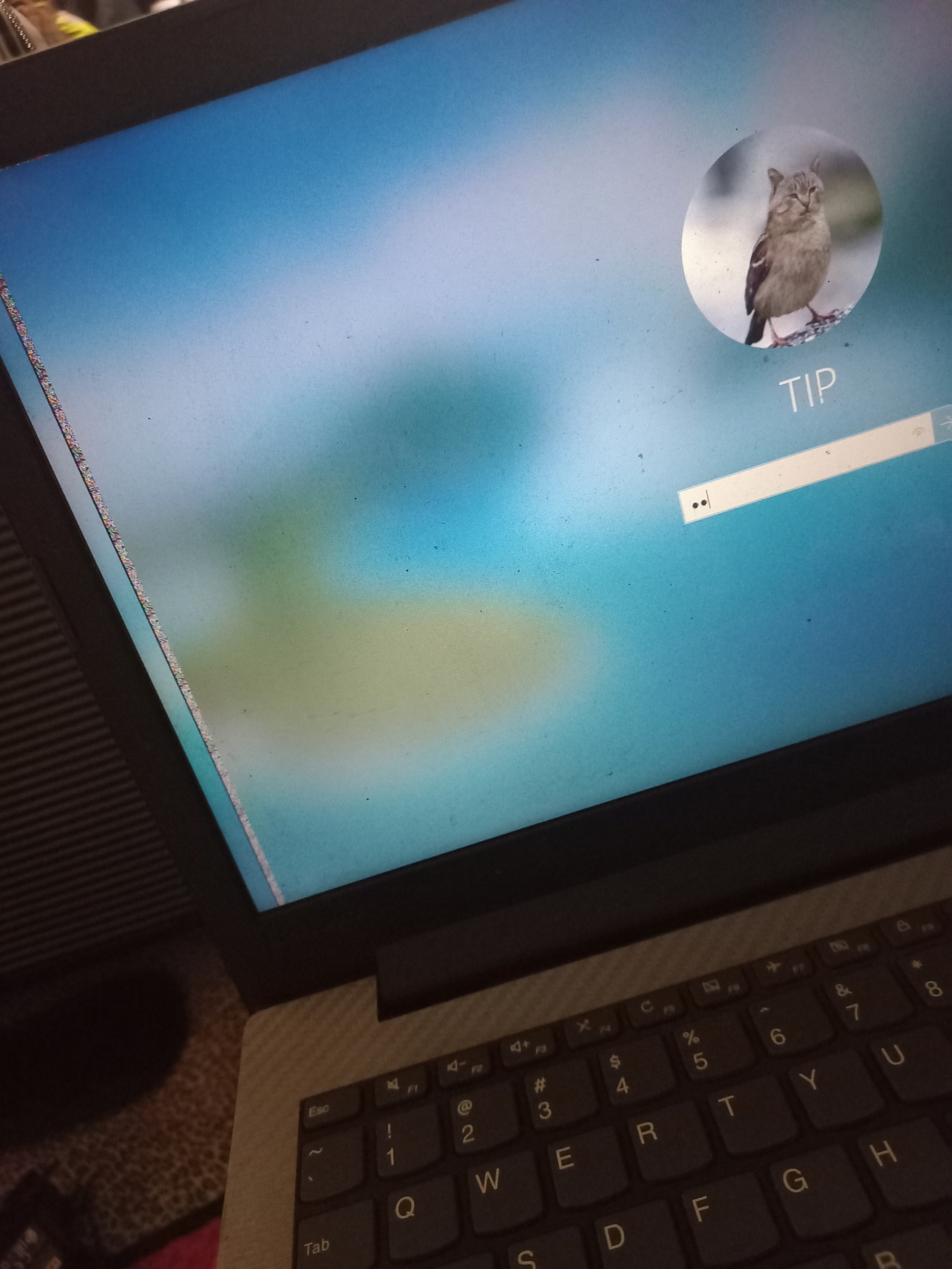 Vertical Lines When Starting Windows/Entering Password - Microsoft Q&A