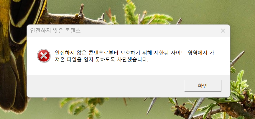 스크린샷 2024-11-13 211940
