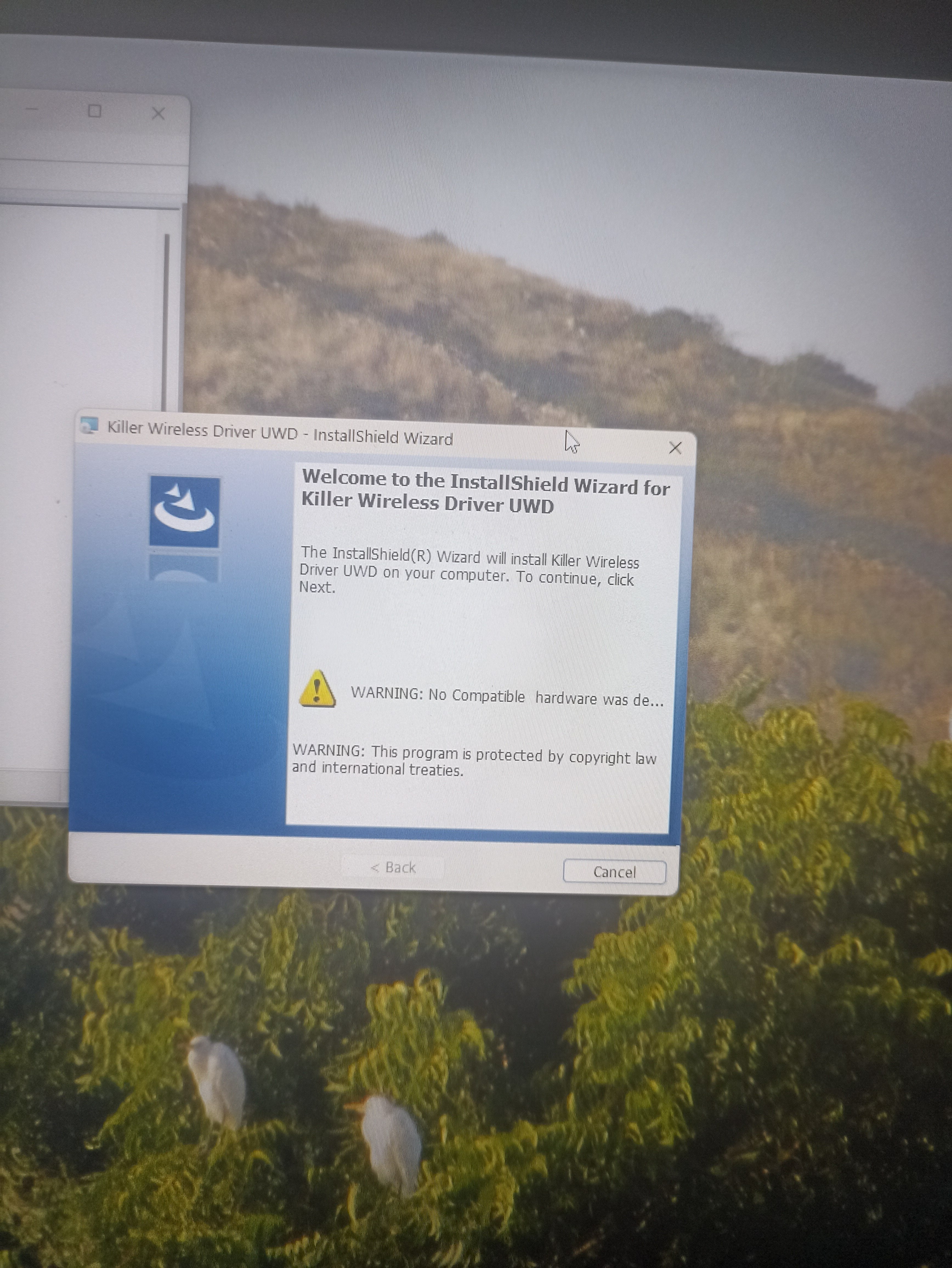 can't connect to internet after the latest windows update - Microsoft Q&A