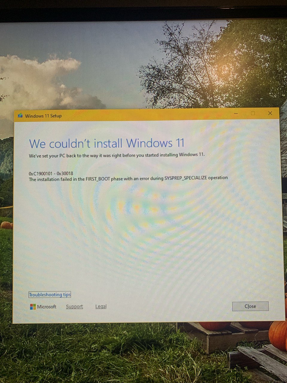 photo_2025-11-14_21-47-49