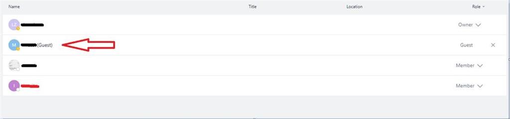 External guests in Microsoft Teams cannot see the team they are guests ...