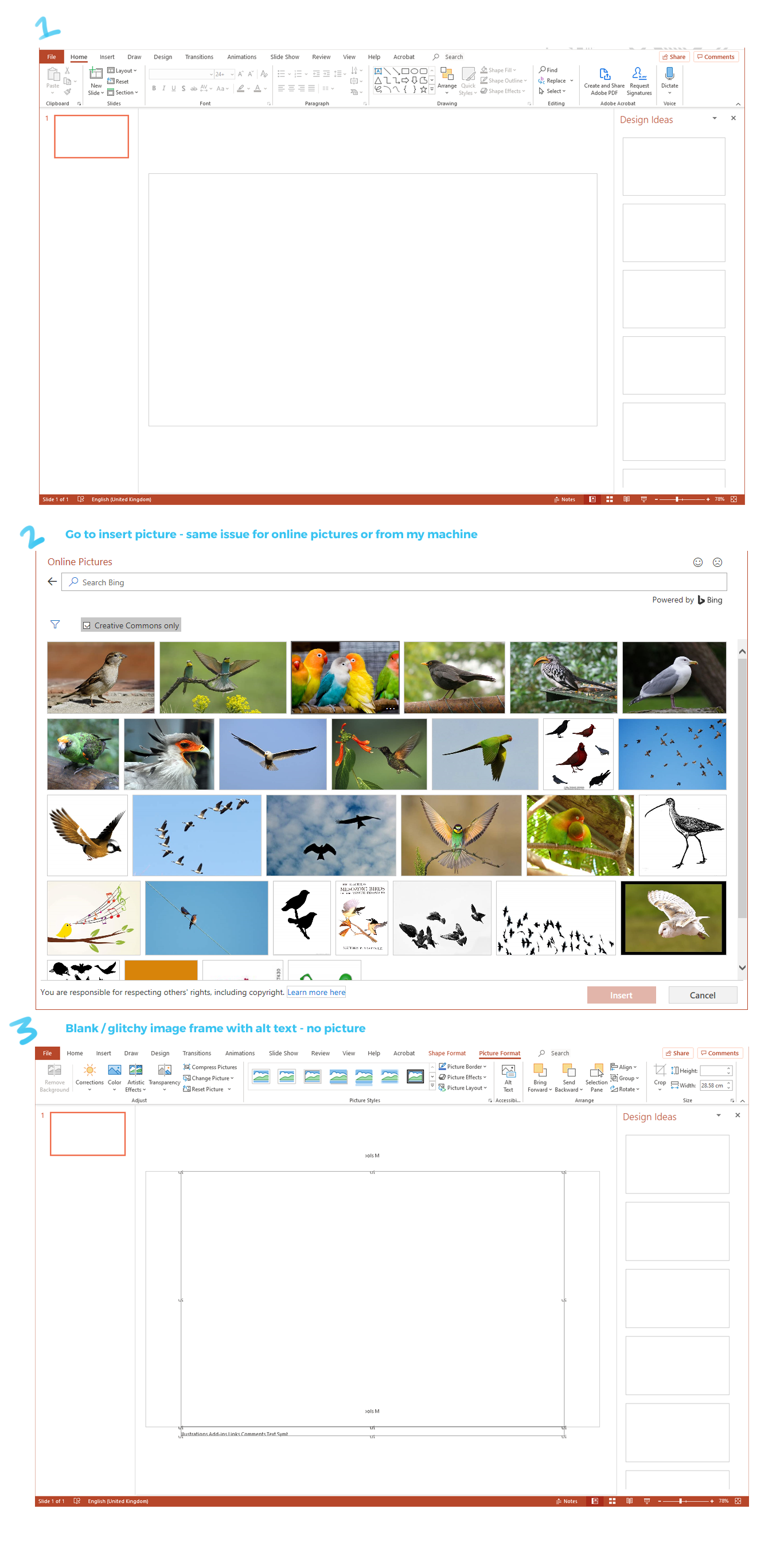 Powerpoint can't insert images - blank / glitch - Microsoft Q&A