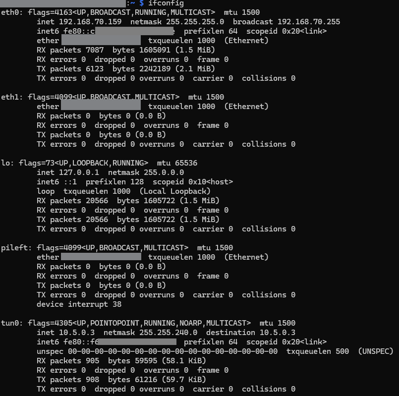 screenshot ipconfig linux host1