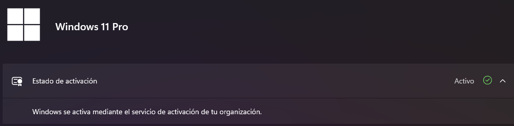 imagen_2025-11-16_194620456