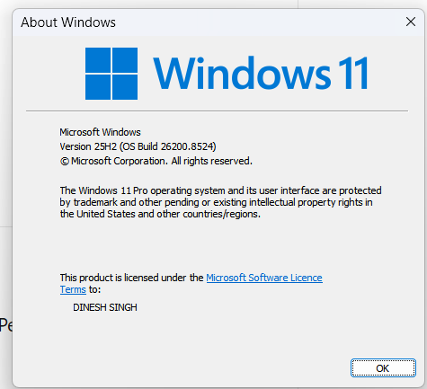 win11 version