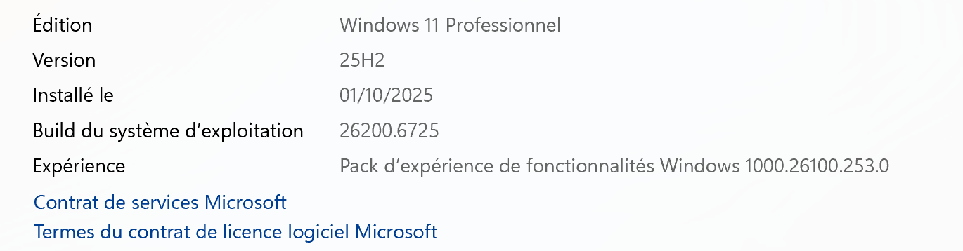 W11 25H2 Canal release preview 26200.6725
