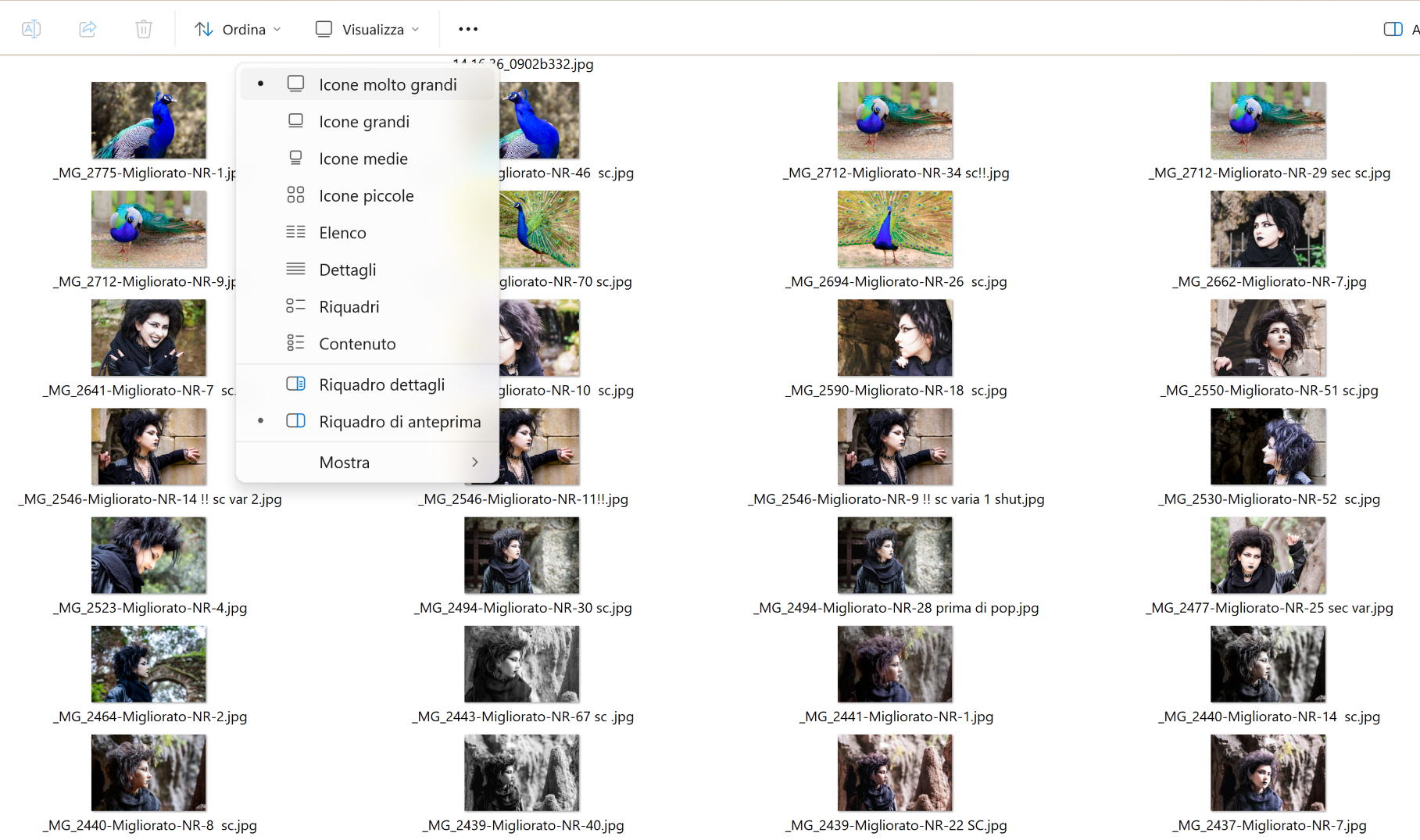 Screenshot 2026-03-21 234702
