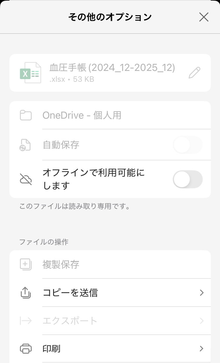 excel_2.101_menu(1)