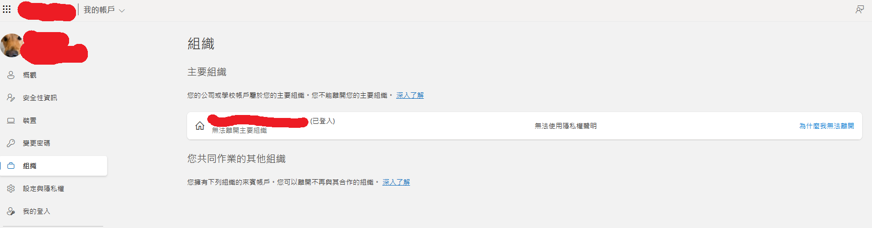使用者的影像
