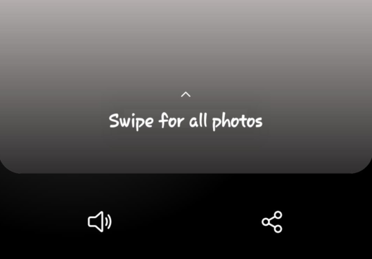 User's image