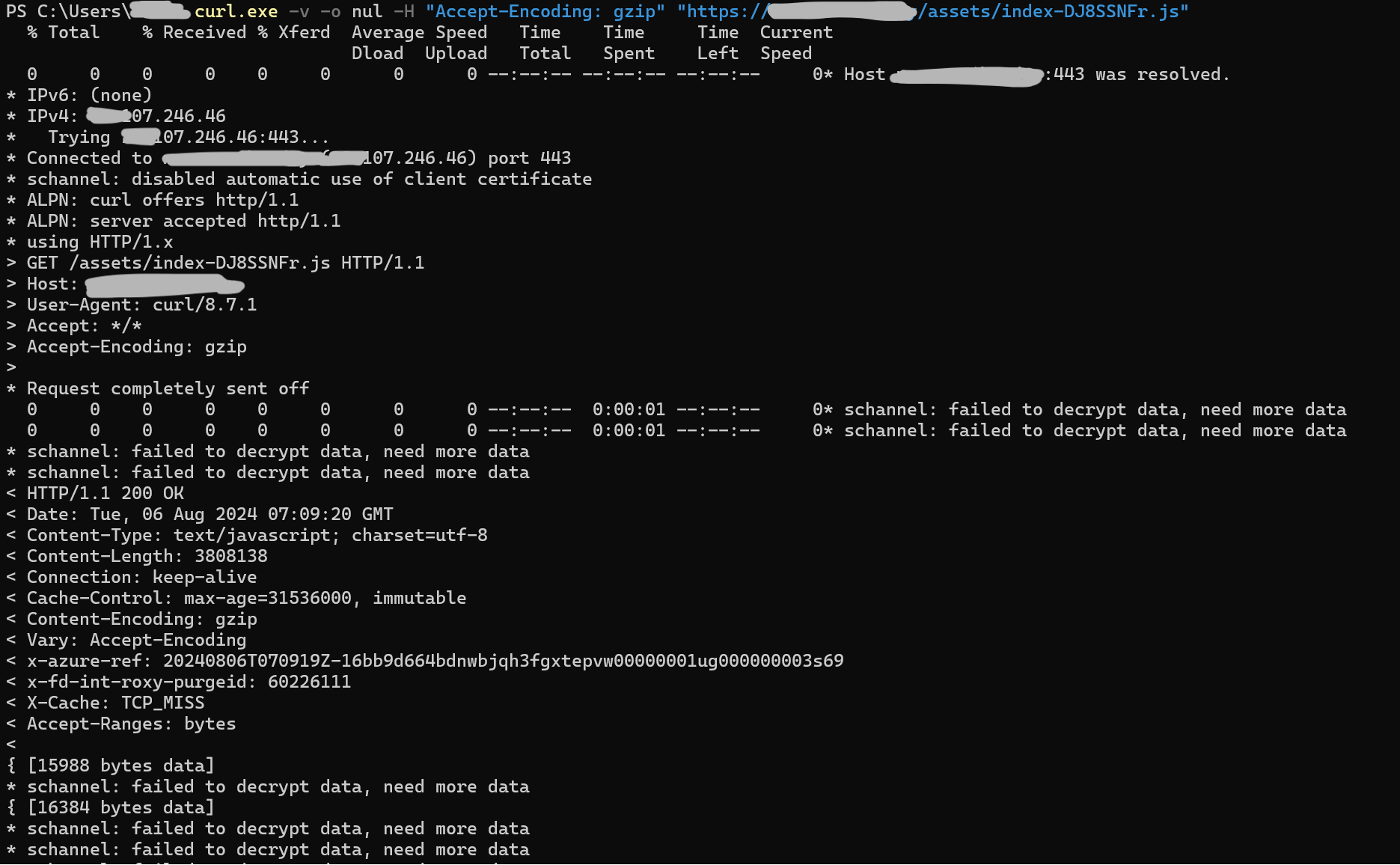 with-accept-encoding-gzip-p1