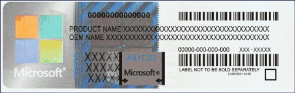 User's image