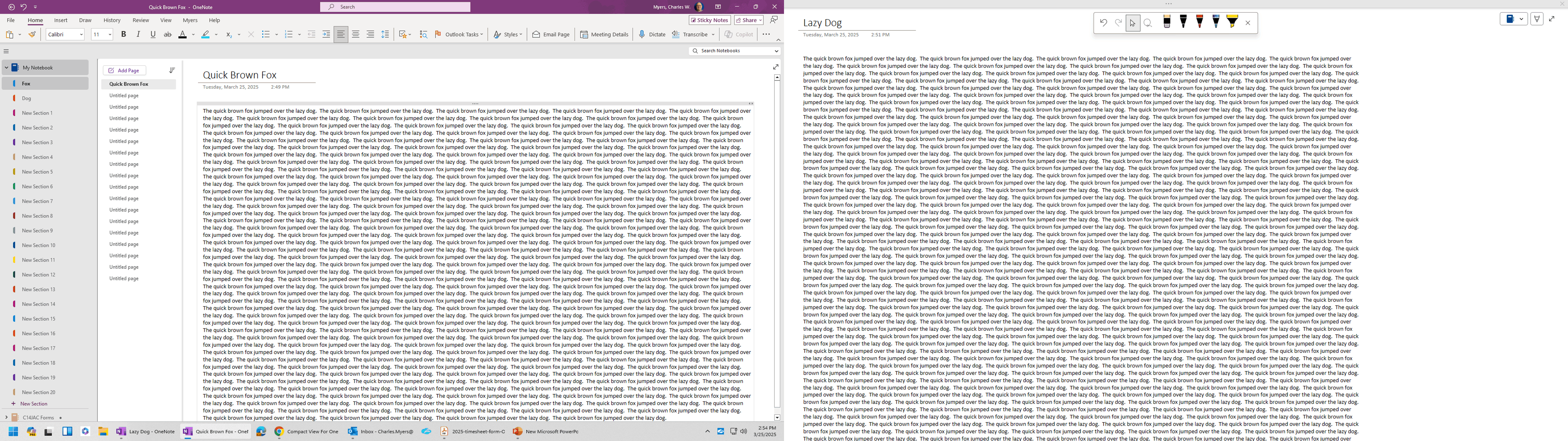 Compact View For One Note - Microsoft Q&A