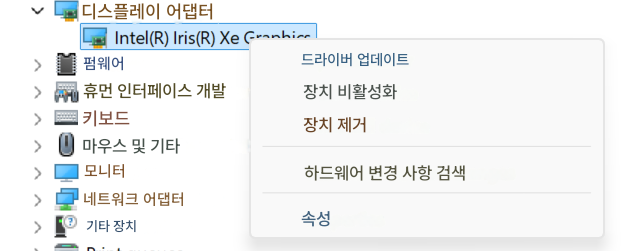 디스플레이 어댑터Intel(R) Iris(R) Xe Graphics>펌웨어드라이버 업데이트>휴먼 인터페이스 개발장치 비활성화>키보드장치 제거>마우스 및 기타>모니터하드웨어 변경 사항 검색>네트워크 어댑터>기타 장치속성