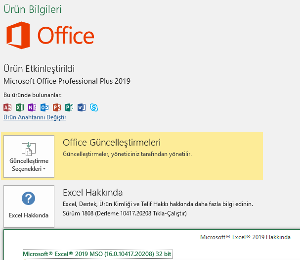 Excel Bilgisi