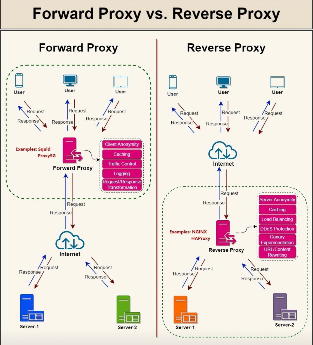 What is a Reverse Proxy Server? Learn How they Protect You