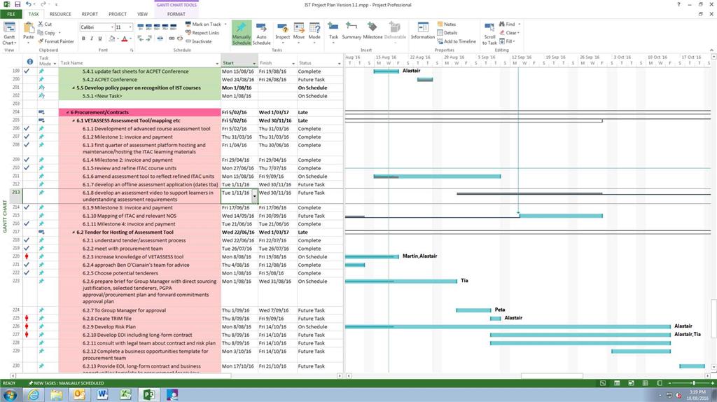 MS Project Pro 2013 - Status of summary task 
