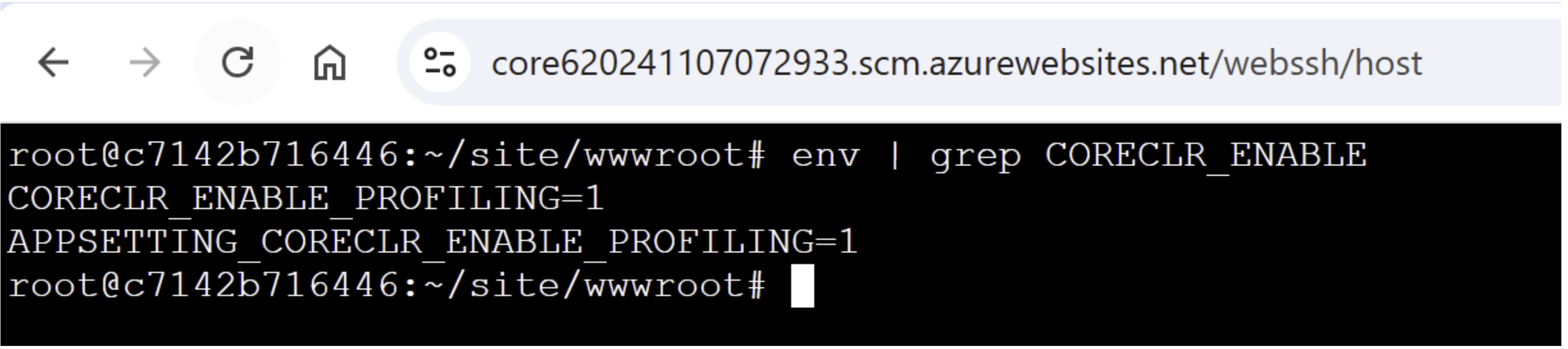 Why i'm not able to set CORECLR_ENABLE_PROFILING value in azure linux ...