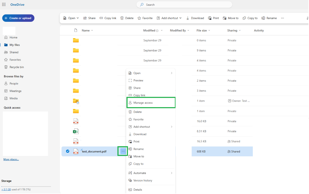 Delete and Encrypt with password buttons in OneDrive Online Edit view ...